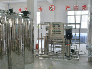 2TPH RO & EDI Ultrapure Water System