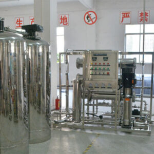 2TPH RO & EDI Ultrapure Water System