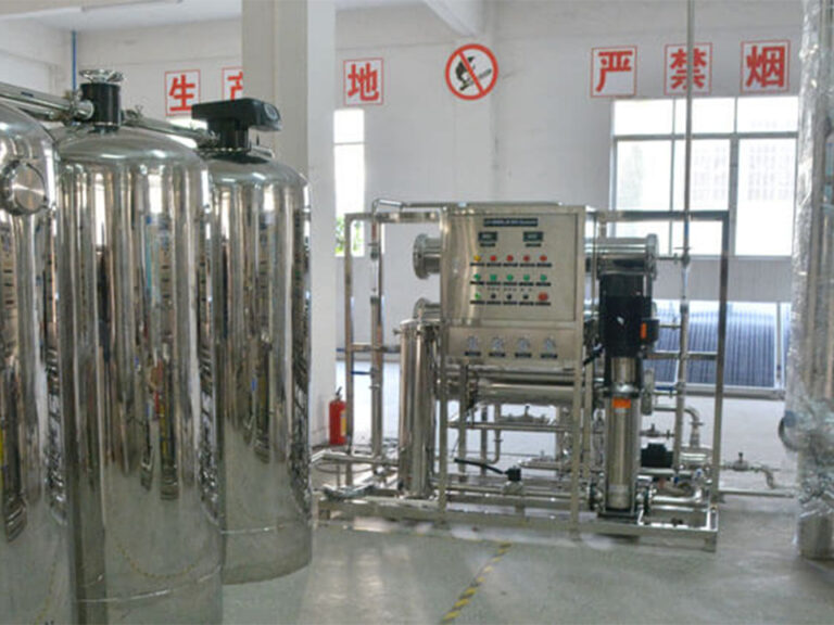 2TPH RO & EDI Ultrapure Water System