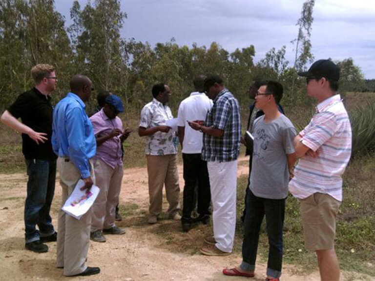 Record Brackish Water Plants Projects Survey On Site